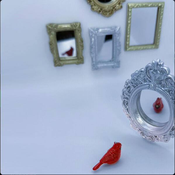 Real studio photo for Cardinal Song